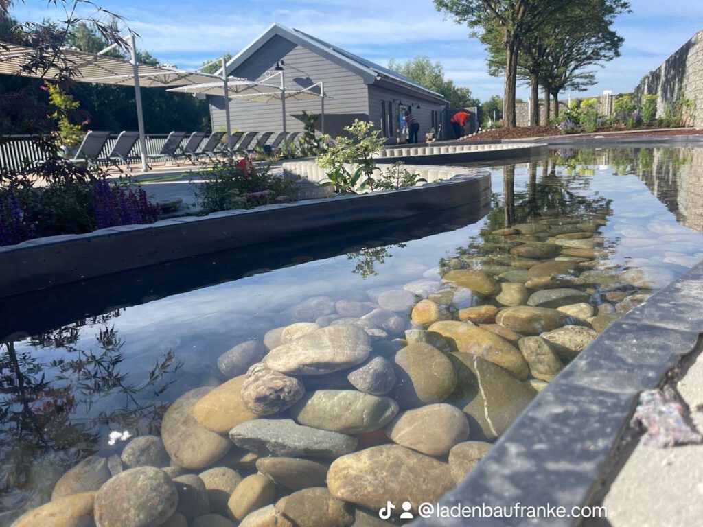 WhatsApp Image 2024-08-13 at 17.24.48