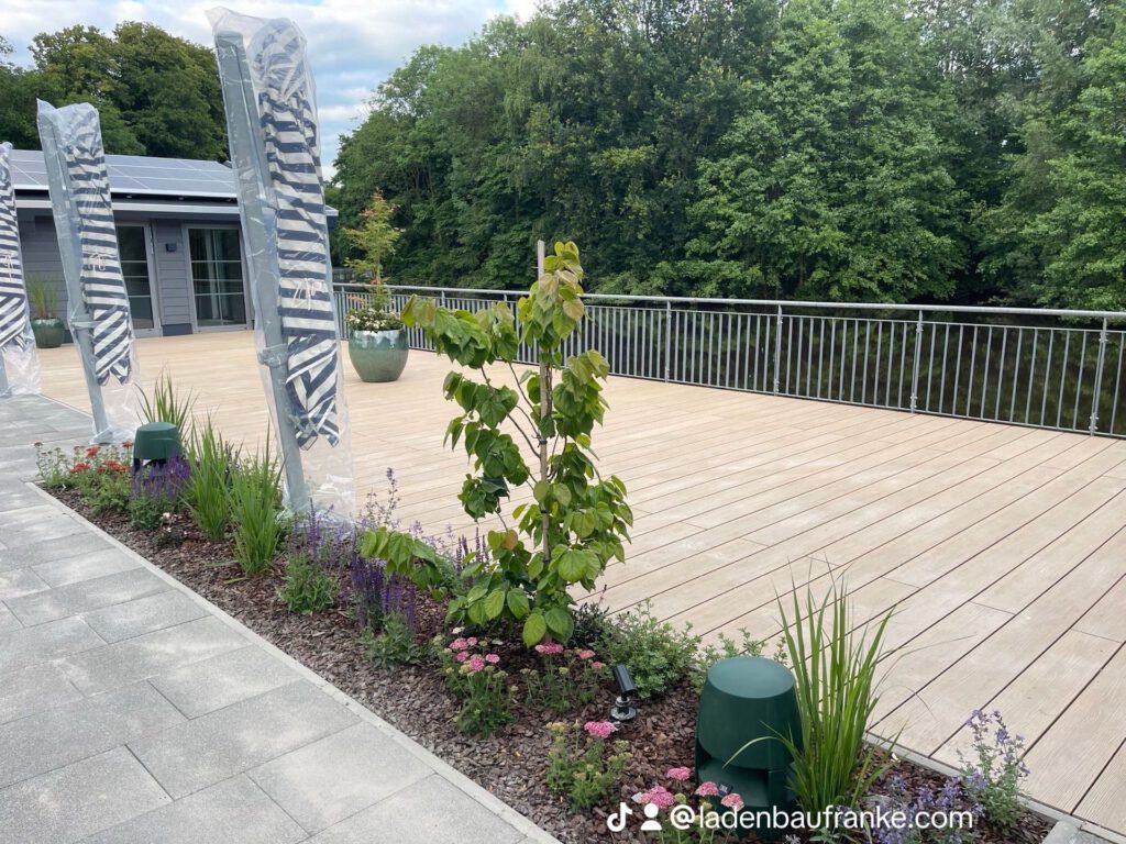 WhatsApp Image 2024-08-13 at 17.24.49